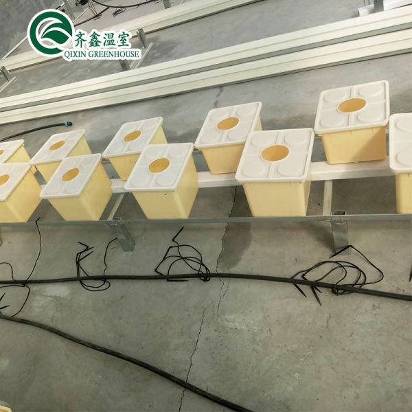 Large Steel Greenhouse Structure Shed Design With 150/200micro PE Film Covering