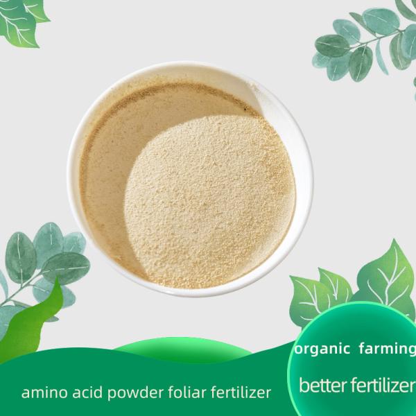 Cálcio Magnésio Zinco Boro Mo Completamente solúvel em água Aminoácidos Fertilizante foliar em pó Amarelo claro