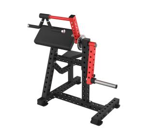 Biceps & Triceps Extension Machine for Bodybuilding Fitness
