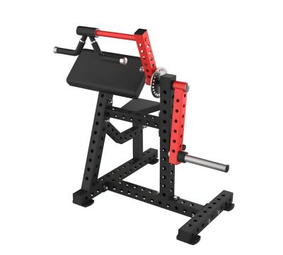 Biceps & Triceps Extension Machine for Bodybuilding Fitness