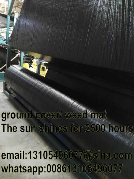 2016 high quality Woven geotextile/ PP weed control mat/Landscaping mats