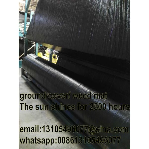 Agricultural pp woven weed mat/weed barrier mat/all new material