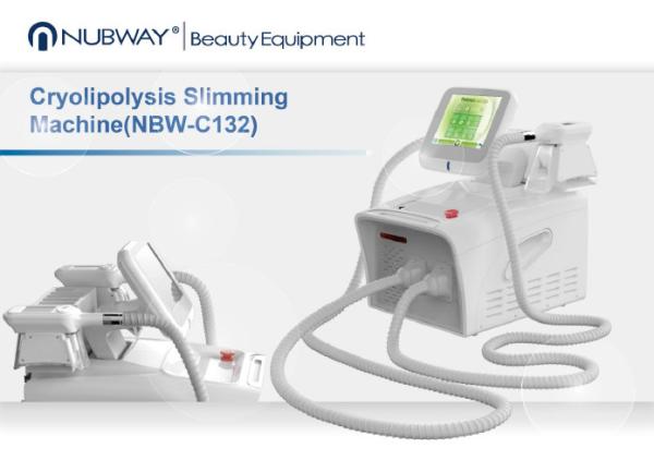 OEM&ODM supplier portable 2 handles 6 lipo pads hottest cryotherapy cryolipolysis slimming