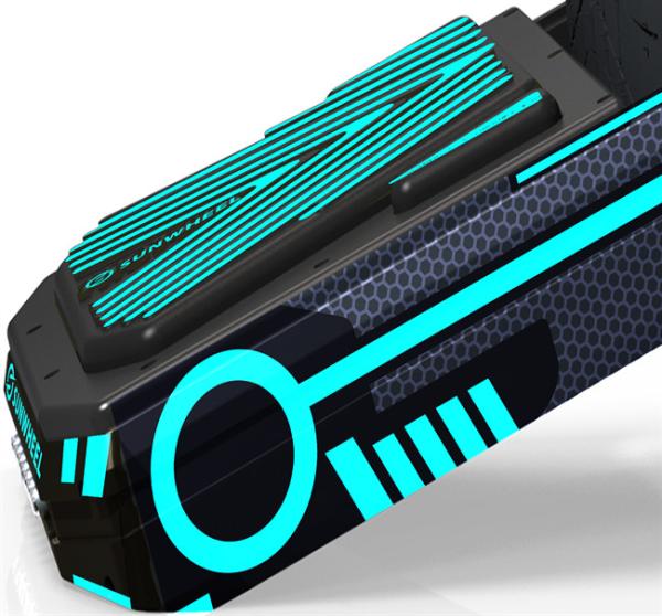 Adult 48V 700W Pint One Wheel Skateboard 1000w With Pedal