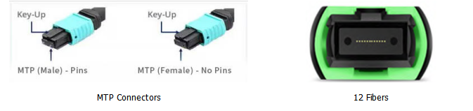 12F MTP OM4 Fiber Optic MTP-LC 2.0mm Straight Harness Cables