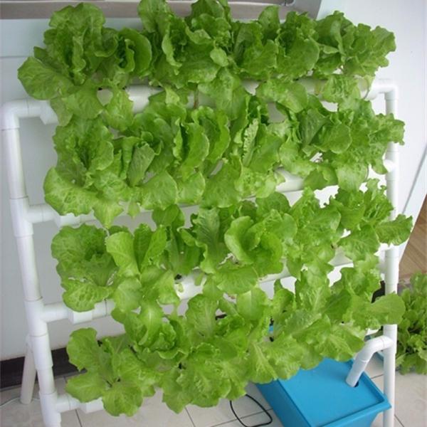 PO Film Double Layer Hydroponic Container for Superior Plant Growth Results