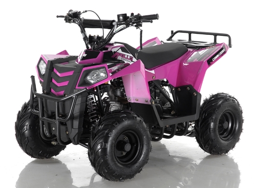 110cc Bore Stroke 52.4mm×49.5mm ATV Quad Bike