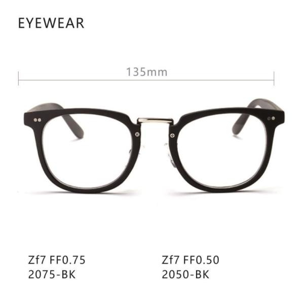 Model 2050/2075 See Through X Ray Glasses / Goggles TR Materials Ordinary Type