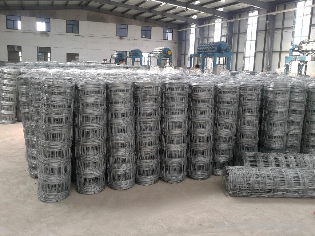 Высокое качество Китай Anping оцинкованный животноводческий ферма