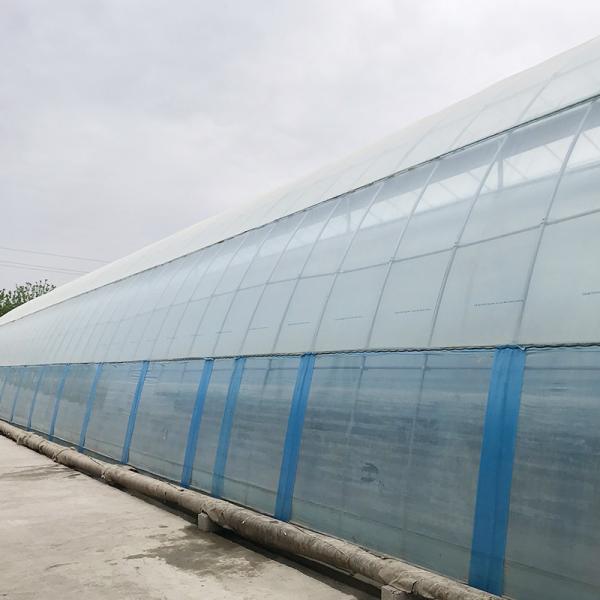 Sistema de aquecimento de água Modalidade coreana Estufas agrícolas para a agricultura durante todo o ano