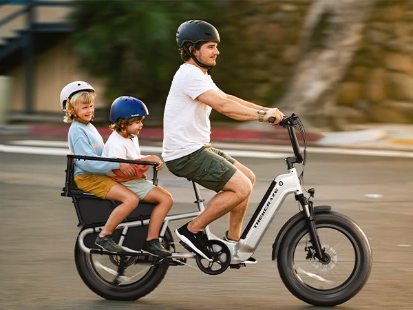 20 Inch Fat Tire  Rack for Carrying Goods & Passengers, Powerful Motor, Long Range Long Tail Electric Bike with Cargo
