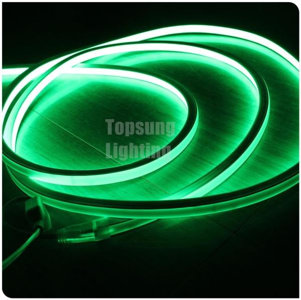220v vert 100 leds/m carré LED néon flex lumière pour la décoration d'activité