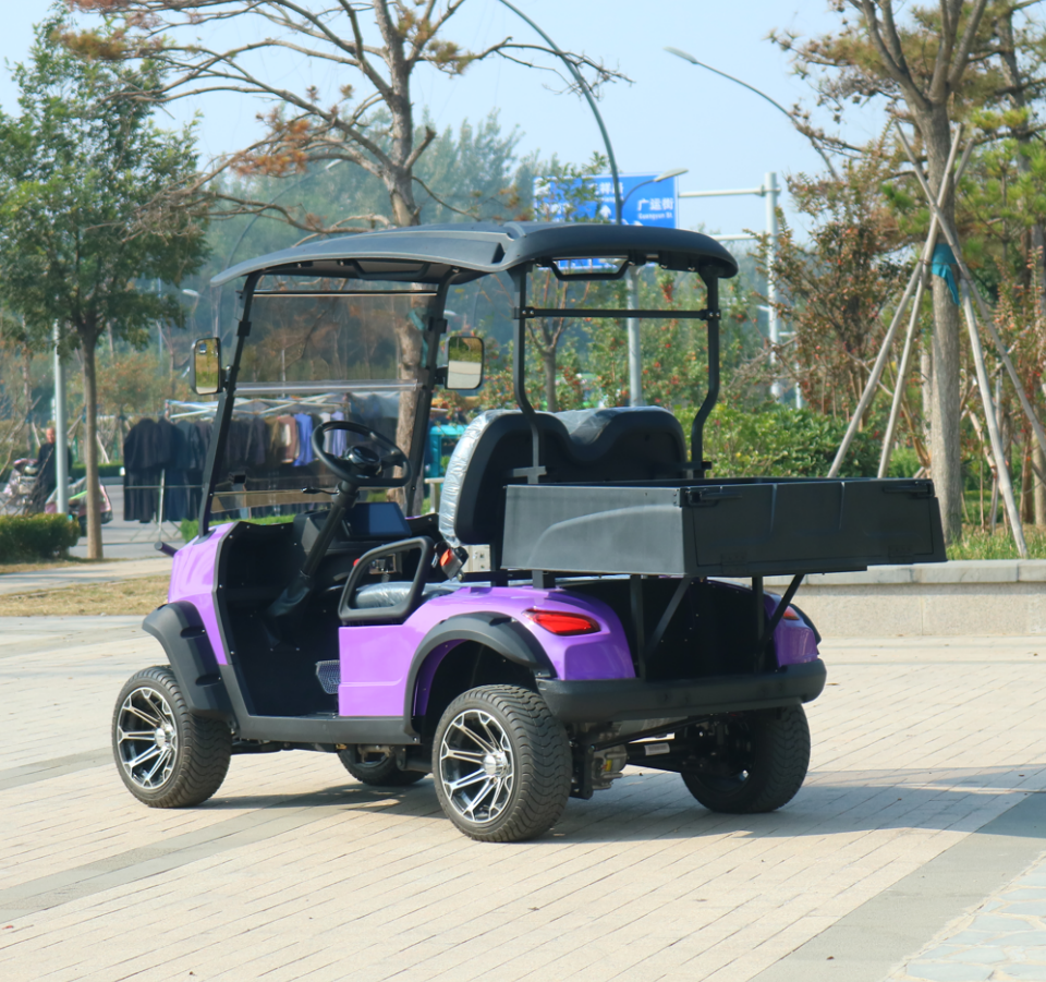 Mini Luxury Electric Utility 2 Seater Golf Cart with Cargo Box