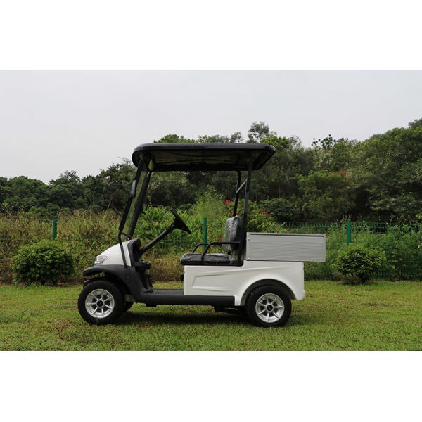 2 Seats Electric Golf cart With Aluminum Cargo Box 560KG Weight Capacity
