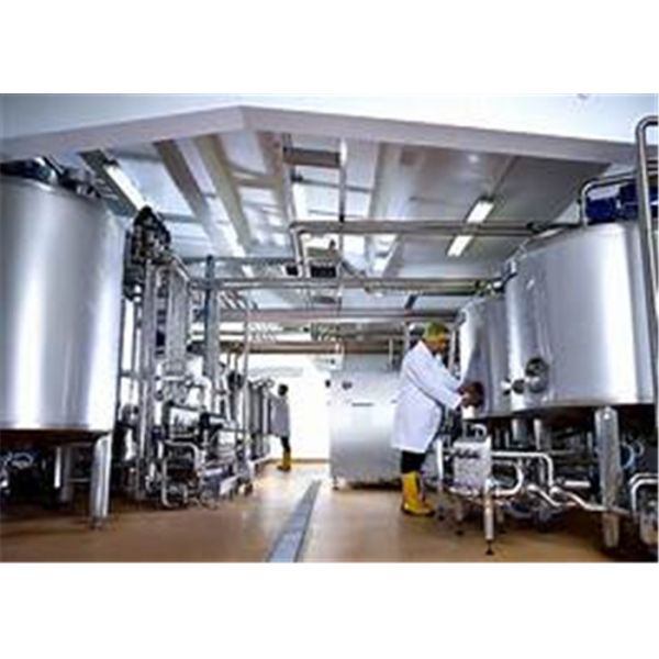 Automatic Milk Powder Production Line , Dairy Milk Processing Equipment