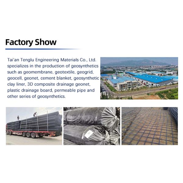 High Tensile Strength Steel Plastic Geogrid for Retaining Wall and Road Driveway