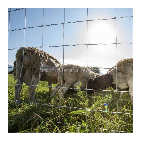 8ft Galvanized Grassland Wire Mesh Fiexed Knot Fence for Cattle and Sheep Farming Needs