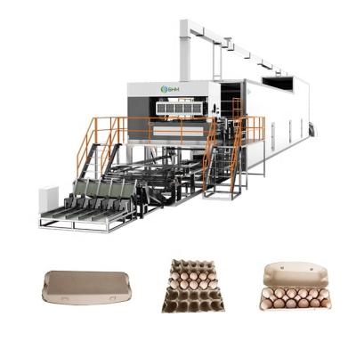 Máquina de fazer bandejas de ovos totalmente automatizada usando pasta de papel reciclada