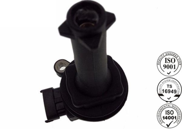 Car Accessories VOLVO Ignition Coil For Engine Bearings OEM 0040102019 0221604008