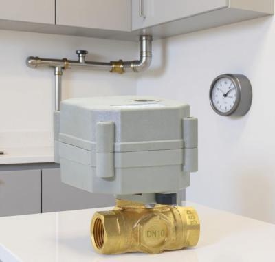 Etrany 1/4'' 3-Way Motorized Brass Ball Valve 9-24VAC/DC 110-230VAC Auto Return
