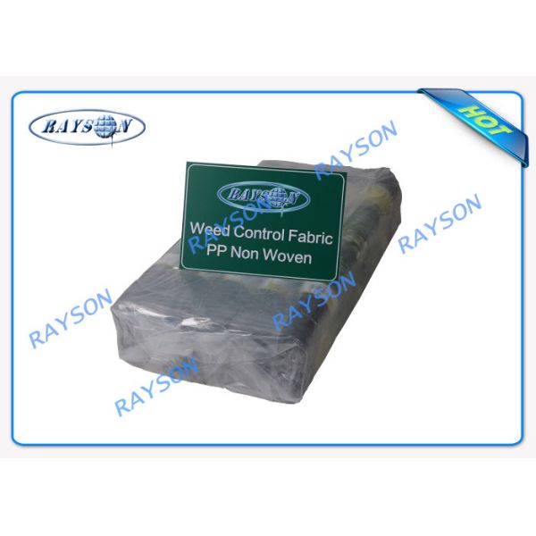 Ткань управлением засорителя земли крышки земледелия барьера засорителя огорода Enviro не сплетенная
