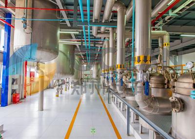 O chá semeia o óleo comestível da planta 10-1000TPD da imprensa da semente oleaginosa que faz a maquinaria