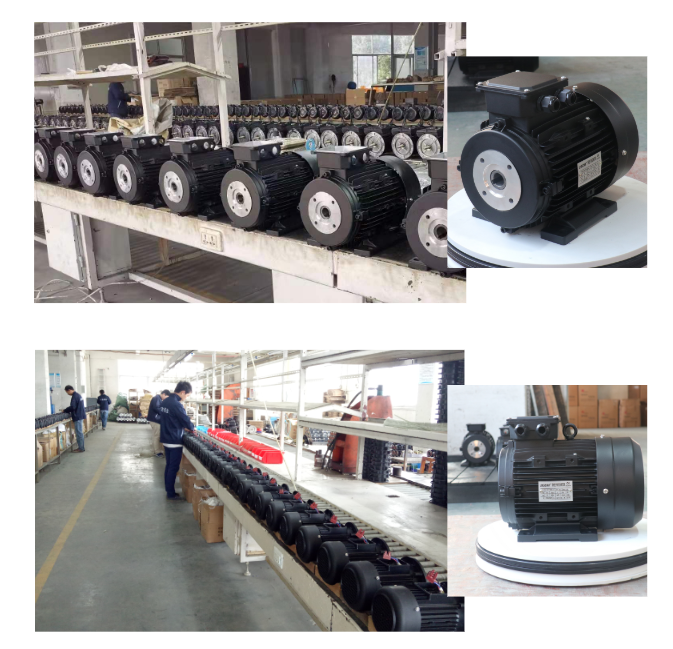 Axe en aluminium du logement 24mm de moteur d'axe de cavité de cage d'écureuil pour la machine de nettoyage