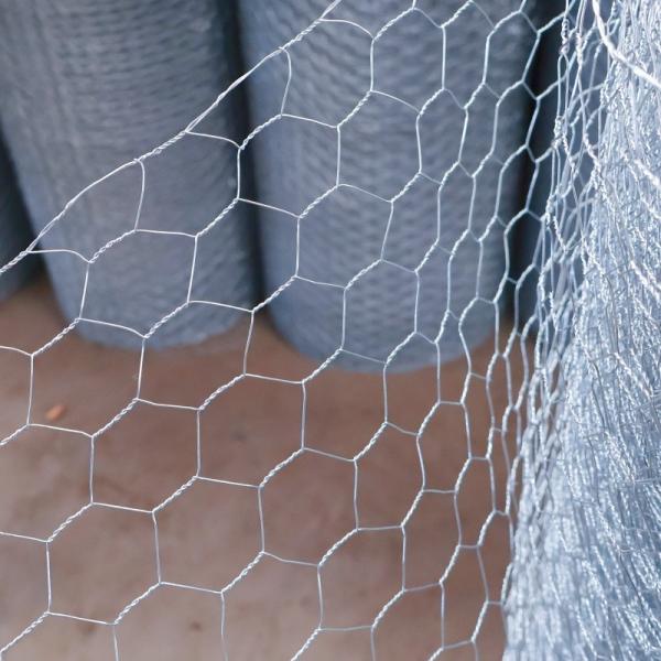 BWG21X3/4 Galvanized Hexagonal Wire Mesh Roll Chicken Net For For Chicken Coop