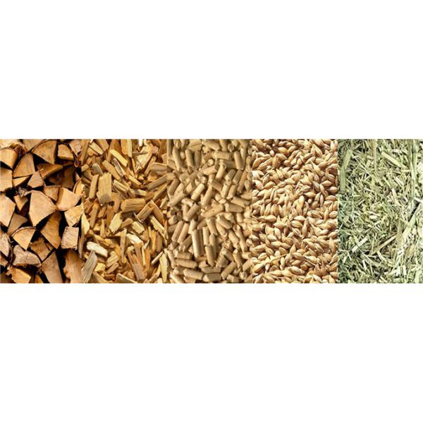 Увольнятьое биомассой деревянное горящее давление трубки огня/воды боилера пара высокое