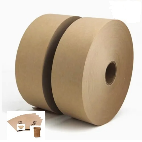 Single PLA Coated Cup Bottom Paper Roll Craft Paper Roll for 100% Biodegradable Paper Cups Bottom