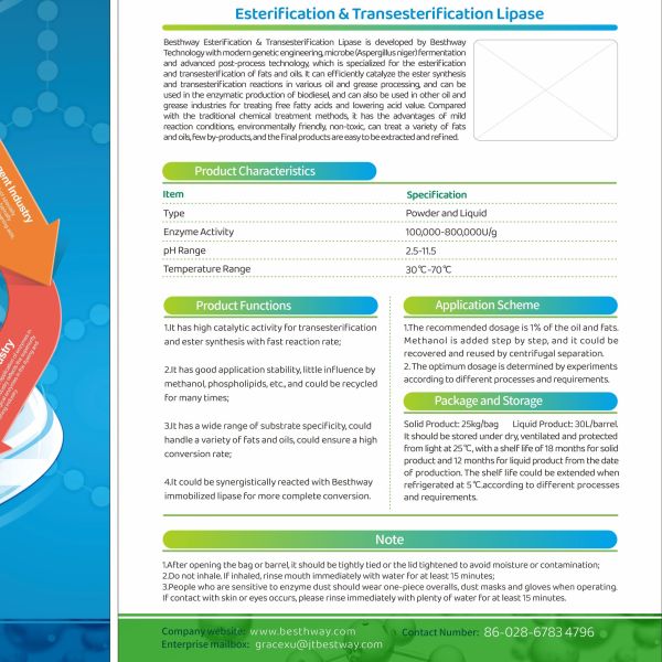 Эстерификация и трансэстерификация липазы, биодизель, промышленные ферменты