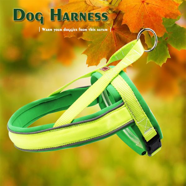 Nylon Adjustable Light Up Led Dog Harness Rechargeable Soft Outdoor Flashing