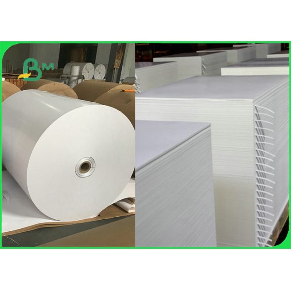 Биодеградабле картон 100% пищевого контейнера 300гсм + 15гПЭ безвредное