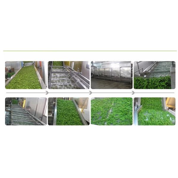 Dehydrated Vegetables Bulk Natural Chive Rolls in 8x8mm 5x5mm 3x3mm Sizes No Additives Supplier