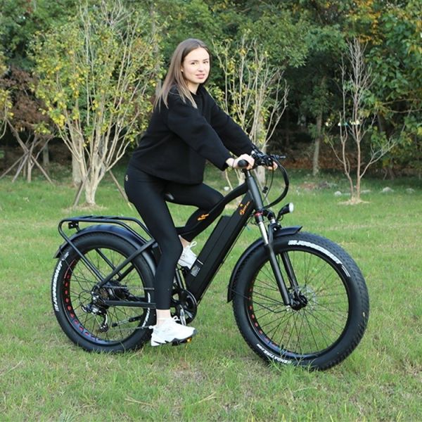 48V 1000W 17AH Lithium Battery OEM EN15194 CE Customized Electric MTB Mountain Fat Tire Bike