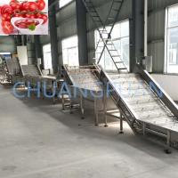 High Capacity 2-60T/H Tomato Sauce Processing Line Bubble Wash