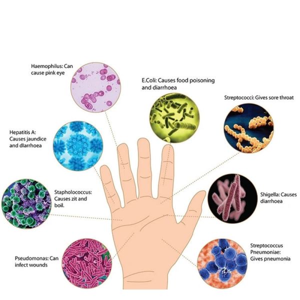 Alcohol Containing Antiviral Hand Sanitizer Waterless Hand Gel Clean Care