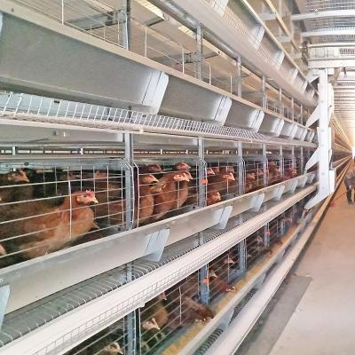 4 Tiers Chicken Egg Layer Battery Cage For Tanzania Poultry Farm Automatic Q235