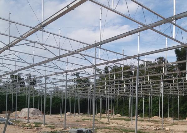 WL108Y Large IGreen Polycarbonate Panels Customized Length for Greenhouse