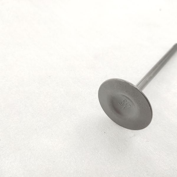 DAYANG moto à trois roues tricycle moteur en fer noir soupape de forgeage avec des matériaux