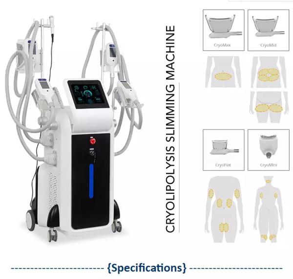 CE approval cryolipolysi slim weight loss machine fat freezing machine Christma Promotion