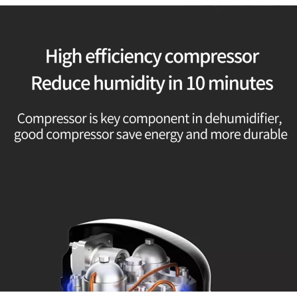 DH-252BH 25L/D Smart Home Desiccant Dehumidifier With Air Purifier for Commercial Needs