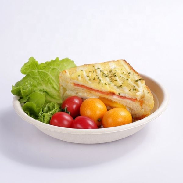 120 Degree Oil Resistant Biodegradable Sugarcane Bagasse Plates Takeaway Bowl With Lid
