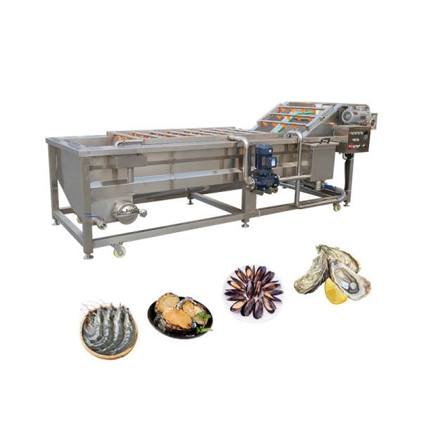380v/220v/ Máquina de lavar bolhas de mandioca personalizável para lavar frutas e legumes