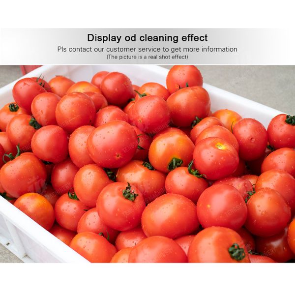 Leaves Leafy vegetables Cabbage varieties Herbs Fruiting vegetables Vegetables bubblewashing machine Wash Washer Washing Cleaning The dish washing machine