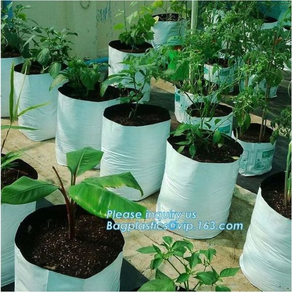 Planter Bags, Grow Bags, Cultivating Bags, Nursery Pot, Greenhouse, Agricultural Film,  Horticulture Garden