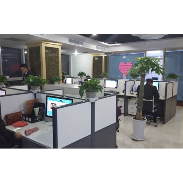 Shenzhen Mago Trading Co., Ltd.