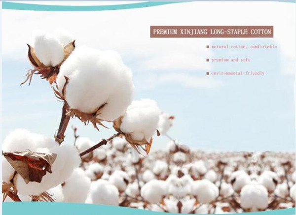 Биодеградабле сухие очищая Випес, устранимые сухие Вашклотхс для взрослых