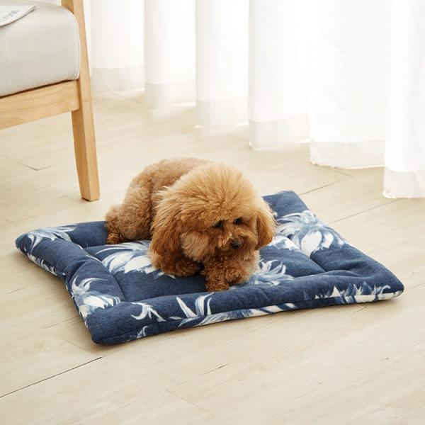 Customized Warm Pet Blanket Cute Polar Fleece Small Black Blanket