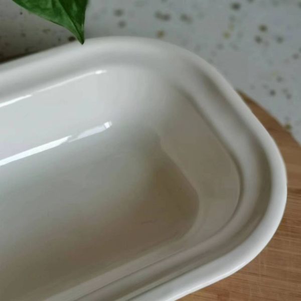Customized Cast Iron Steel Enamel Serving Dish Plate With 304 Steel Rolled Edge Rim